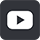 youtube Boletín de Divulgación Científica “El Guayacán”